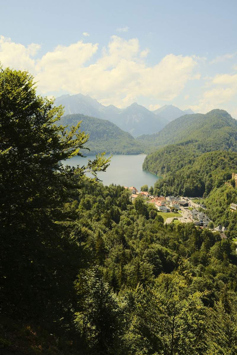 Hohenschwangau Castle, yellow stone on a wooded hill, with mountains behind it.