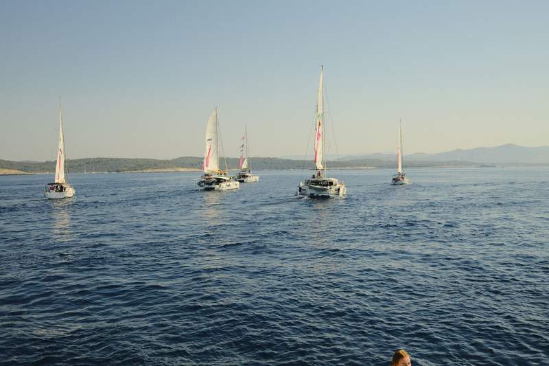 Sailboats and catamarans on blue water, with a rocky island behind the fleet.