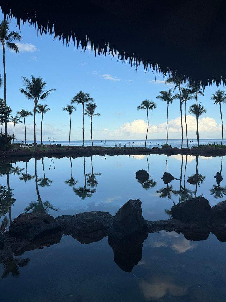 Open ocean off Maui, photographed from a boat, with the wake in the foreground.